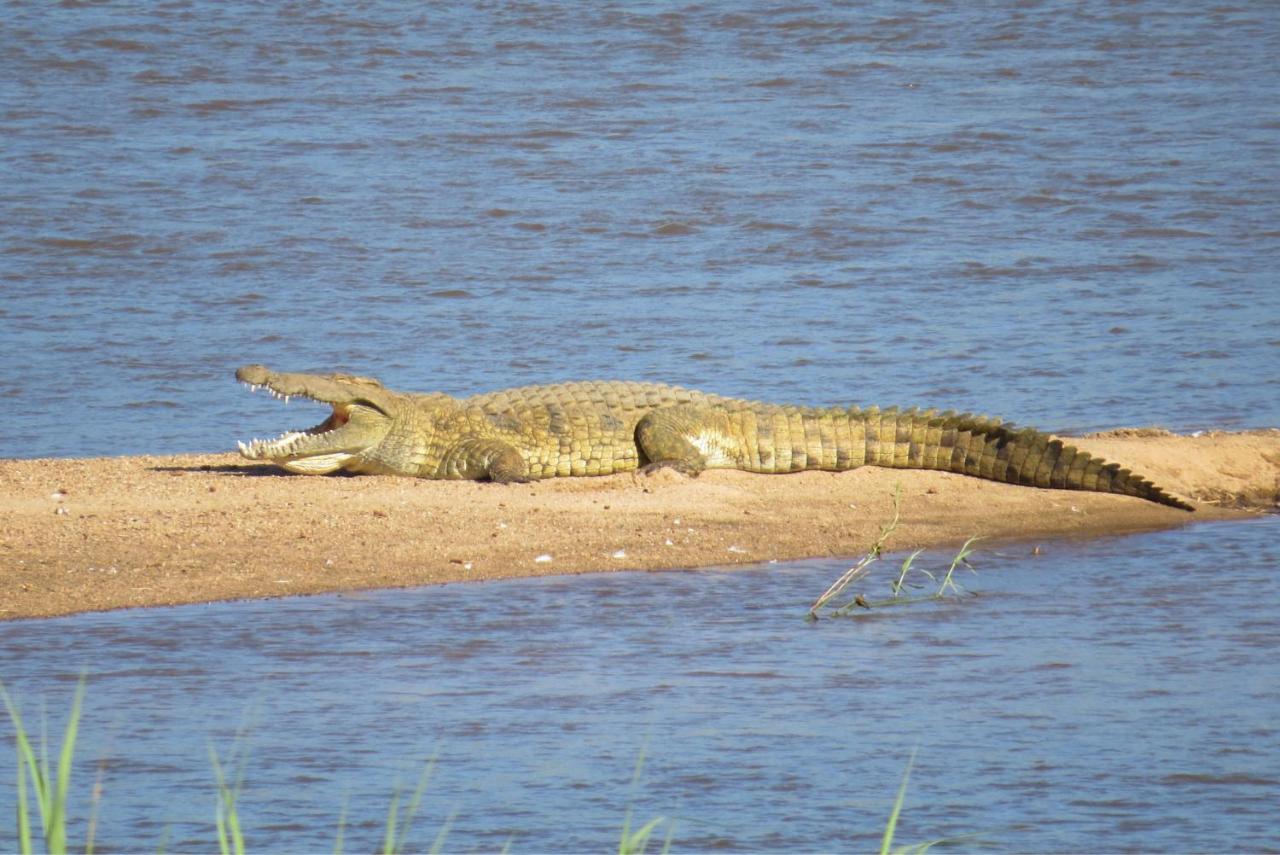Crocodile Bridge Safari Hospedaje Komatipoort Exterior foto