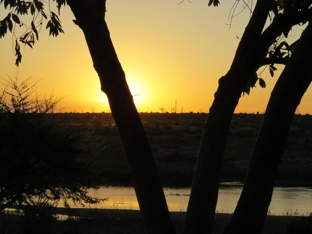 Crocodile Bridge Safari Hospedaje Komatipoort Exterior foto